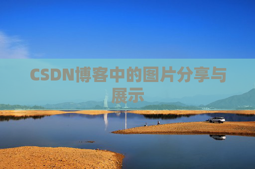 CSDN博客中的图片分享与展示